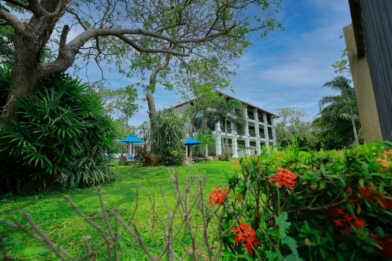 Diya Dahara Lake Resort Yala Exteriér fotografie
