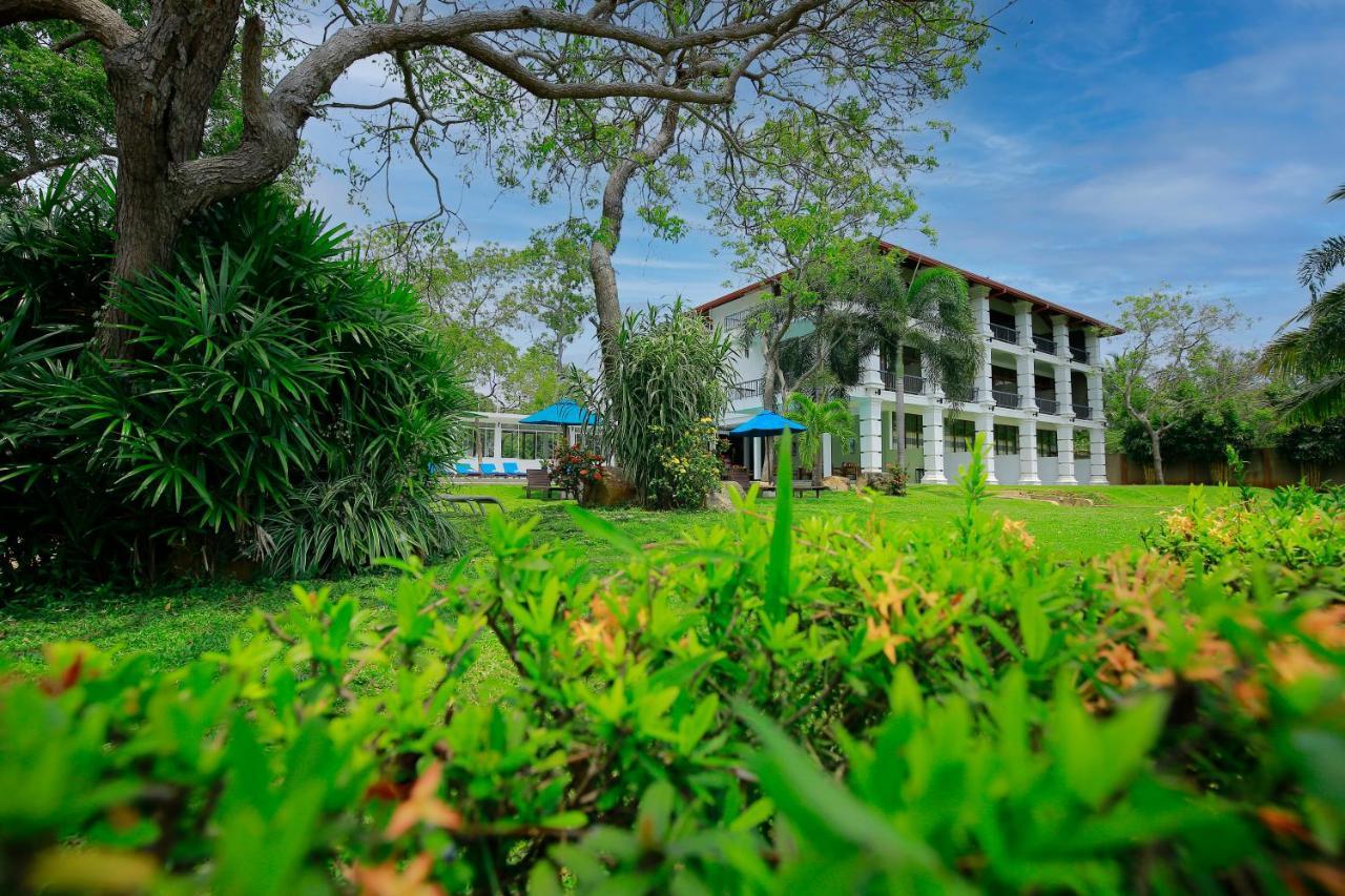 Diya Dahara Lake Resort Yala Exteriér fotografie