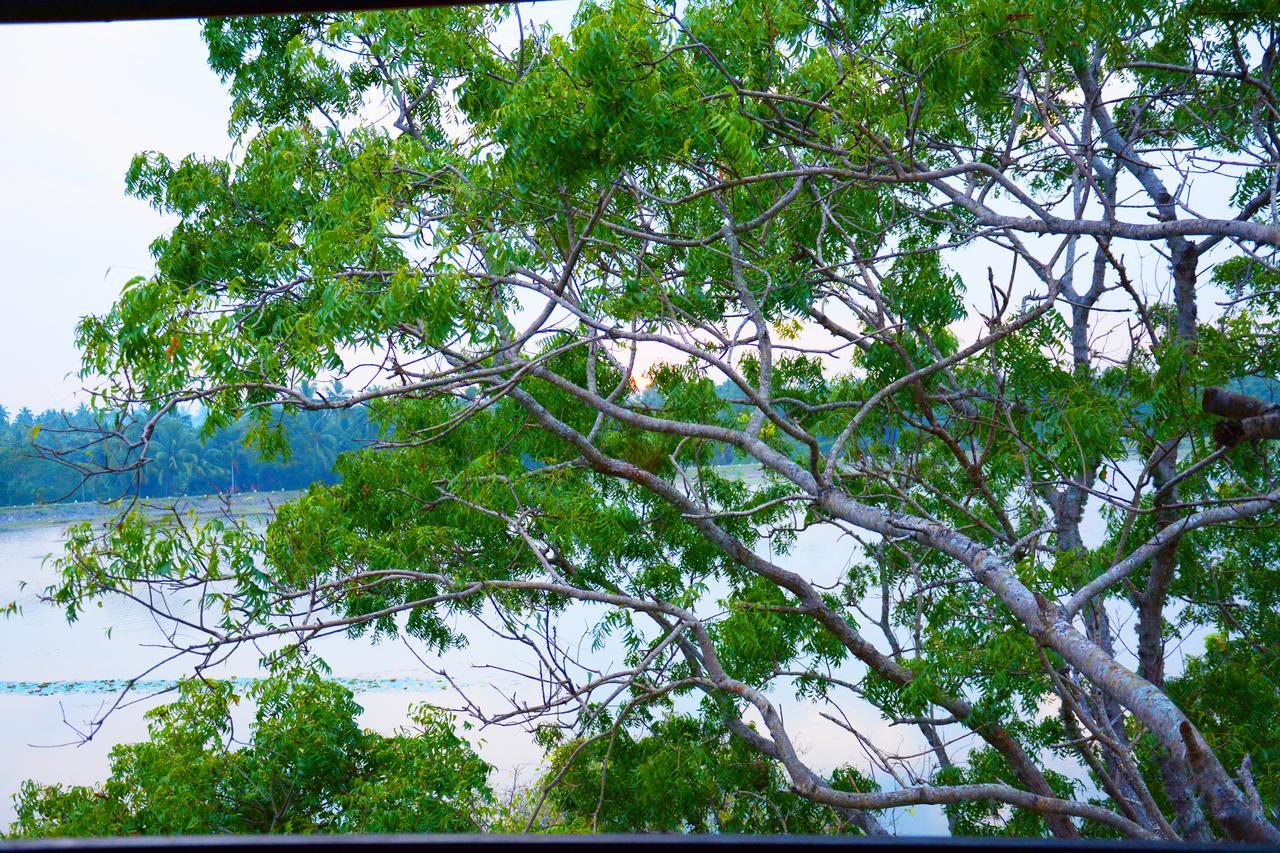Diya Dahara Lake Resort Yala Exteriér fotografie