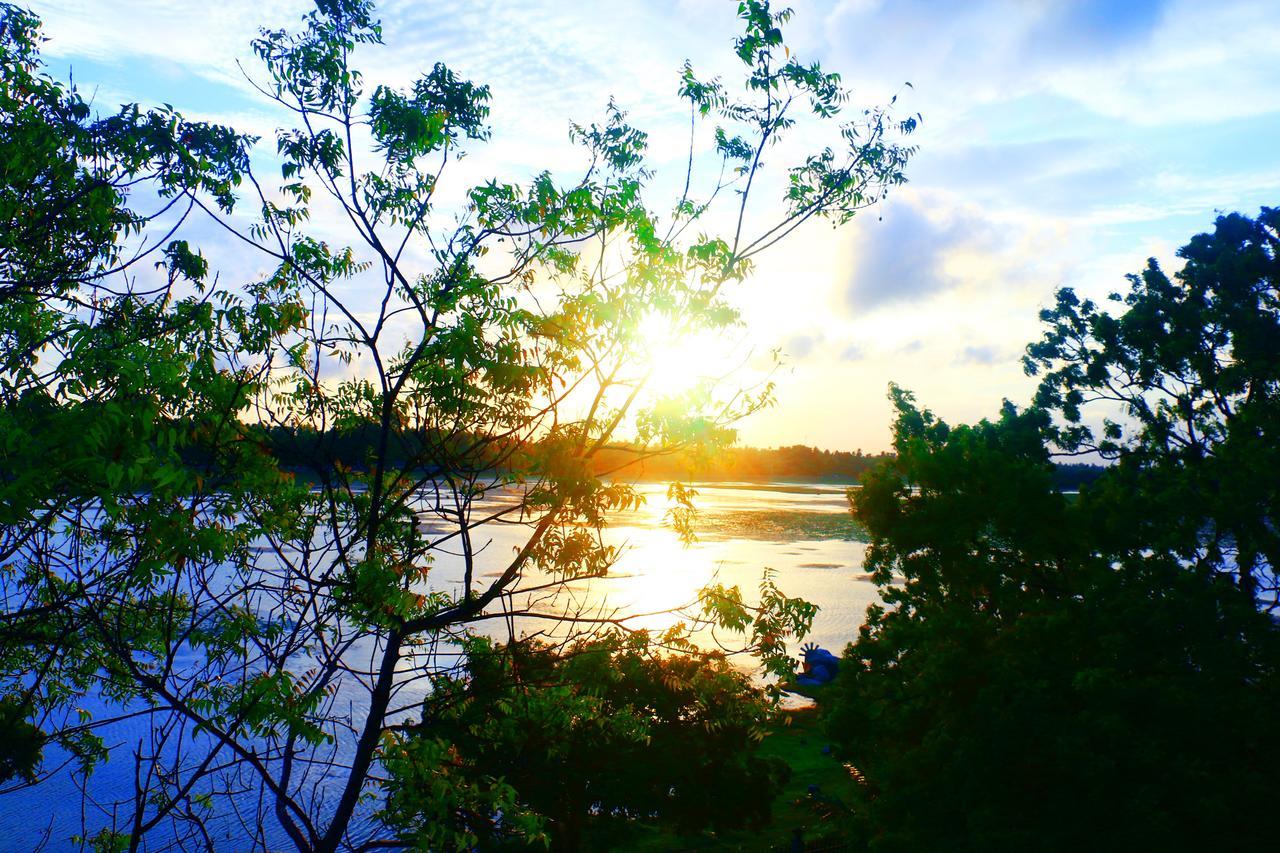 Diya Dahara Lake Resort Yala Exteriér fotografie